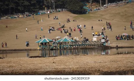 शिमला स्नो वॉक में गर्म हुई दूरियाँ